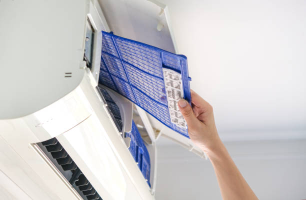Best Local Air Duct Cleaning Services  in Cane Savannah, SC